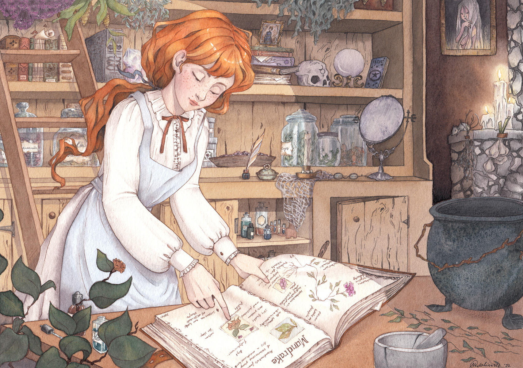 Amelia and The mandrake recipe, watercolor + ink